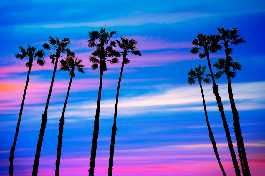 Bermuda Dunes Mural Wallpaper