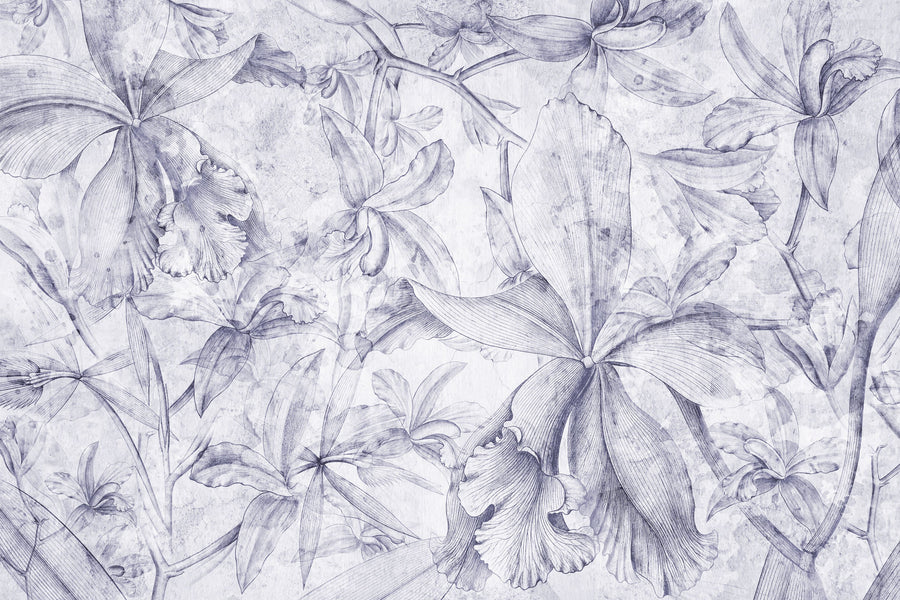 Orchids Sketch Mural Wallpaper