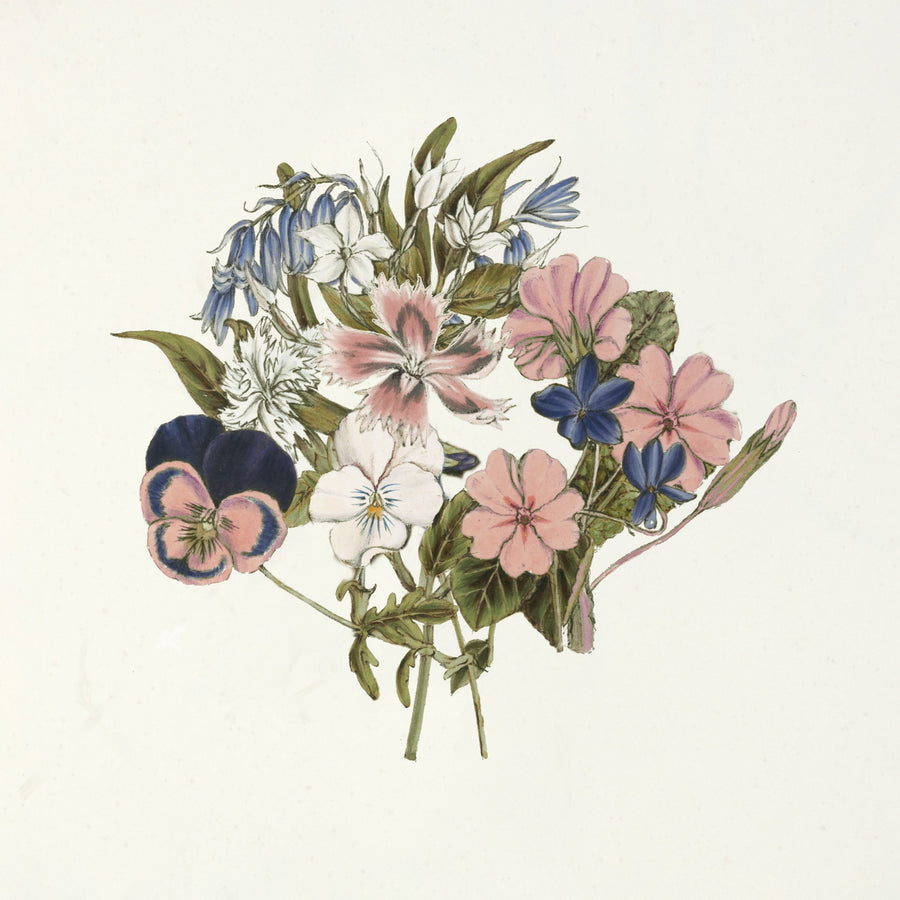 Pansy Party I Honeybloom Mural Wallpaper