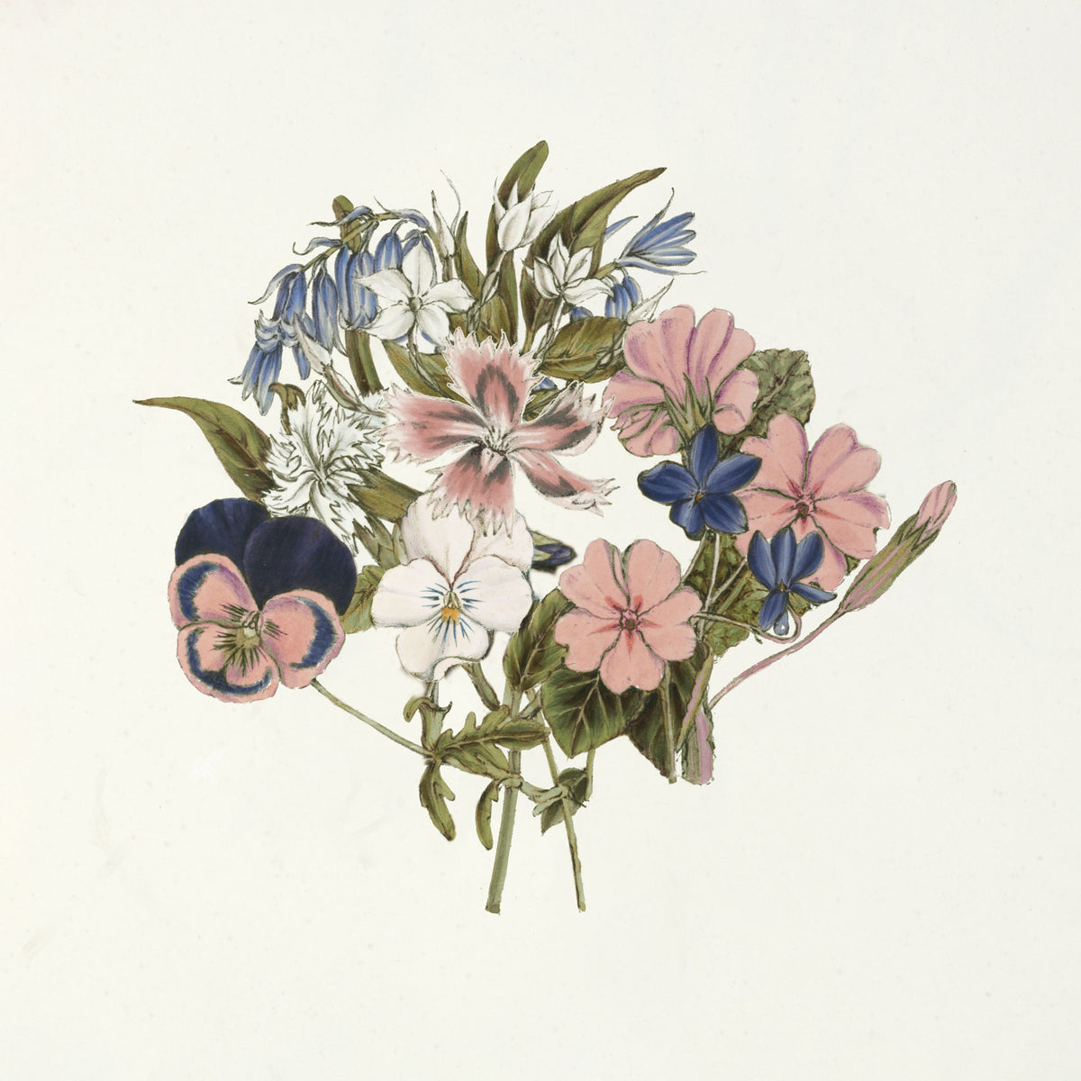 Pansy Party I Honeybloom Mural Wallpaper - pure wallpaper artwork