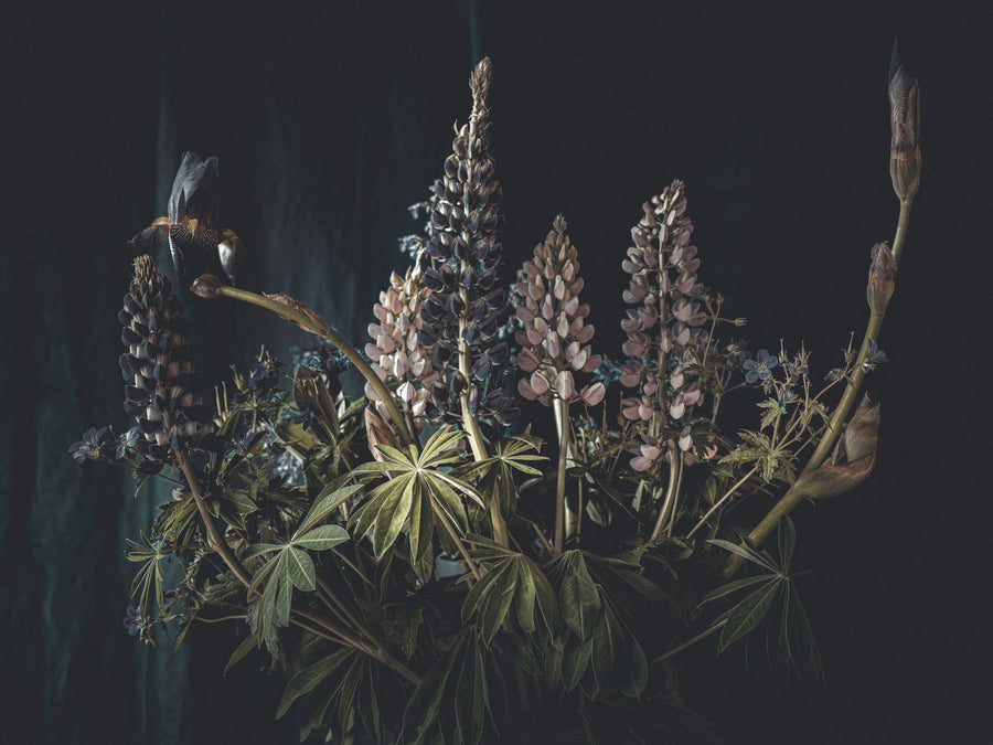 Alluring Lupine Mural Wallpaper