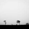 Misty Field Mural Wallpaper - pure wallpaper artwork