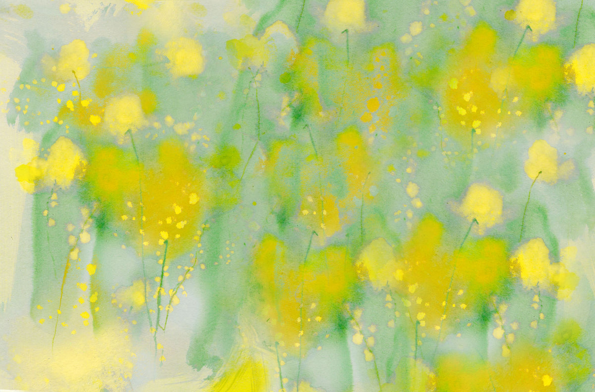 Mimosa Fields Mural Wallpaper - pure wallpaper artwork