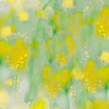 Mimosa Fields Mural Wallpaper - pure wallpaper artwork