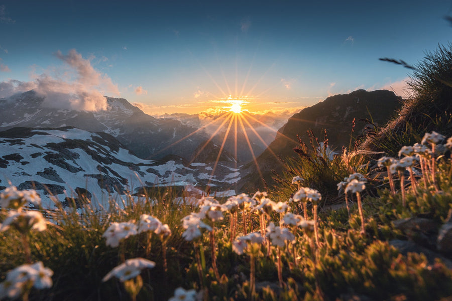 Alp Sunset Mural Wallpaper