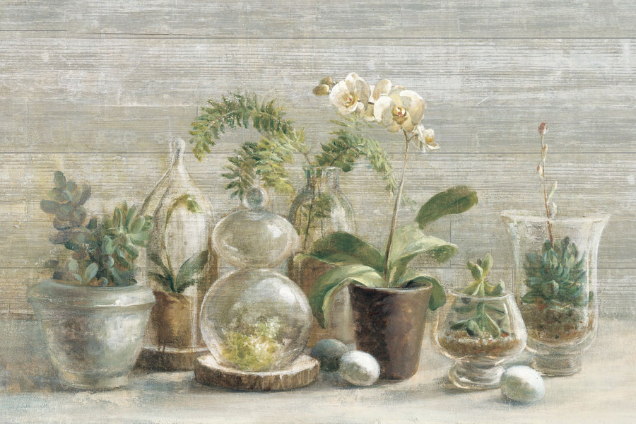 Greenhouse Orchids on Wood Mural Wallpaper