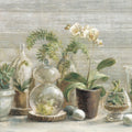 Greenhouse Orchids on Wood Mural Wallpaper - pure wallpaper artwork