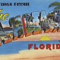 Greetings From Palm Beaches Mural Wallpaper - pure wallpaper artwork