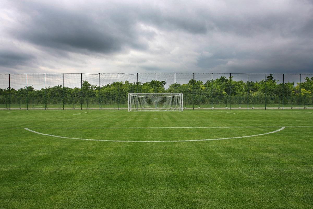 Freekick Mural Wallpaper - pure wallpaper artwork