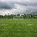 Freekick Mural Wallpaper - pure wallpaper artwork