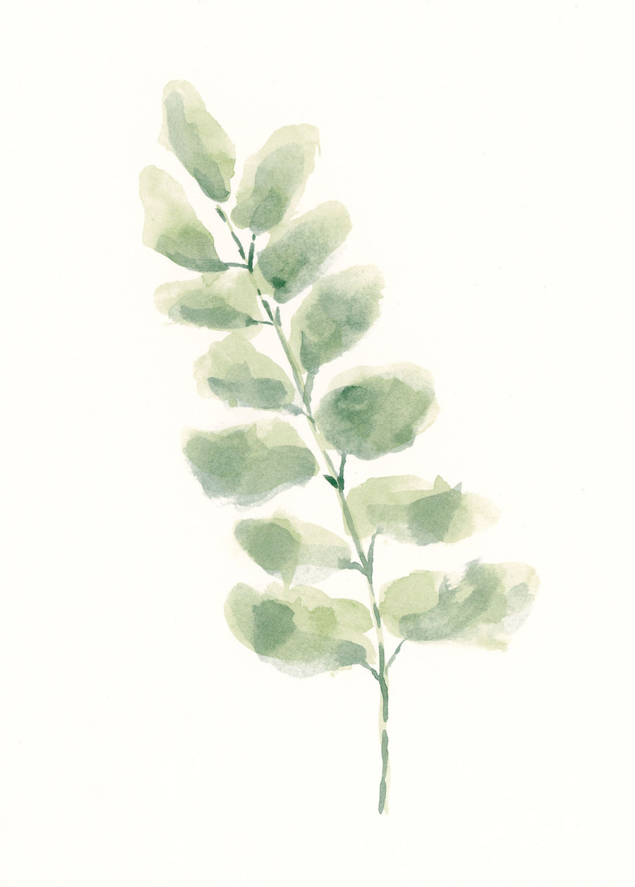 Eucalyptus II Mural Wallpaper