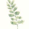 Eucalyptus II Mural Wallpaper - pure wallpaper artwork