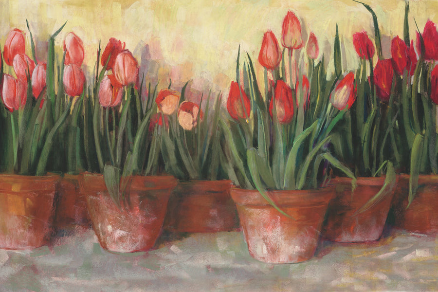 Pattys Tulips Mural Wallpaper