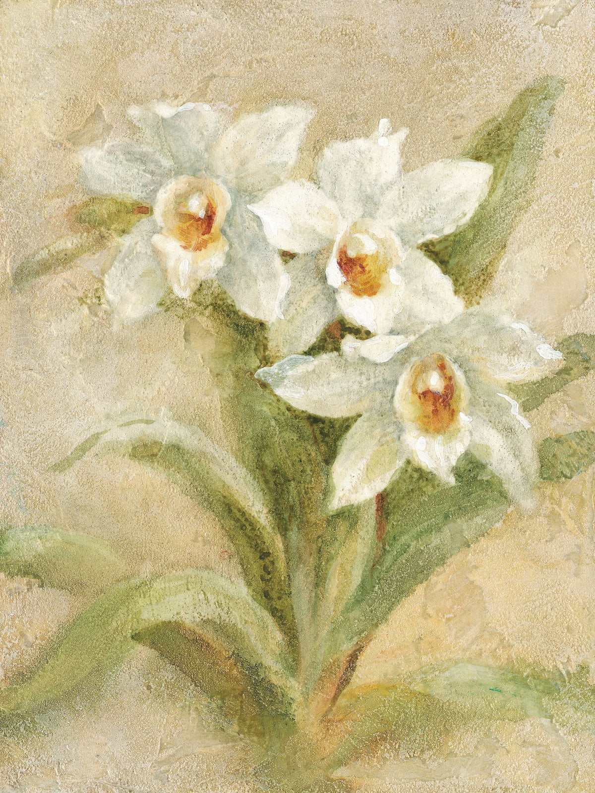 Dreamy Orchids II Mural Wallpaper - pure wallpaper artwork