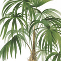 Riviera Palms II Mural Wallpaper - pure wallpaper artwork