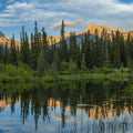 Two Jack Lake Trees Mural Wallpaper - pure wallpaper artwork