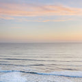 Sunset on Redwoods Coast II Mural Wallpaper - pure wallpaper artwork