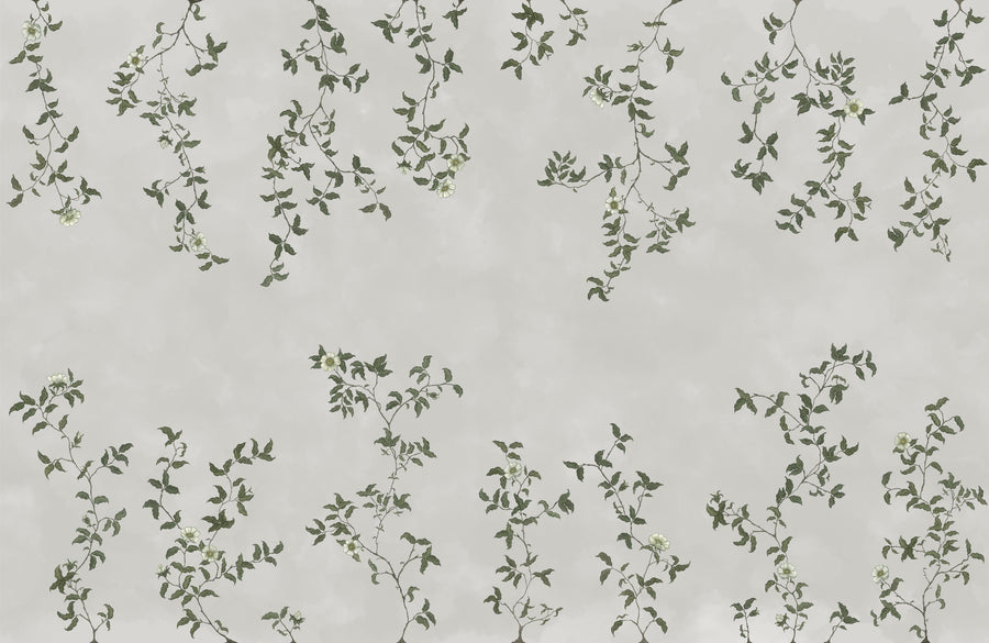 Rambling Rose, Ivory on Cloud Mural Wallpaper