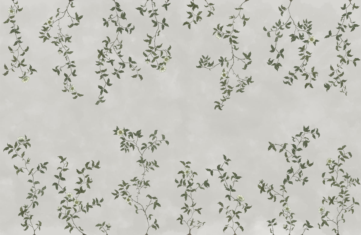 Rambling Rose, Ivory on Cloud Mural Wallpaper - pure wallpaper artwork