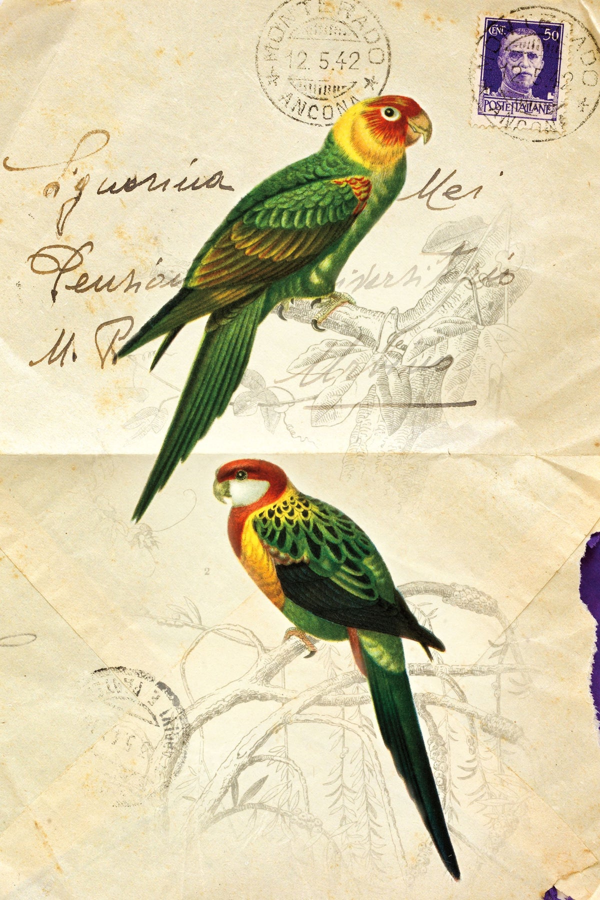 Pretty Bird III Mural Wallpaper - pure wallpaper artwork