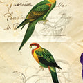 Pretty Bird III Mural Wallpaper - pure wallpaper artwork