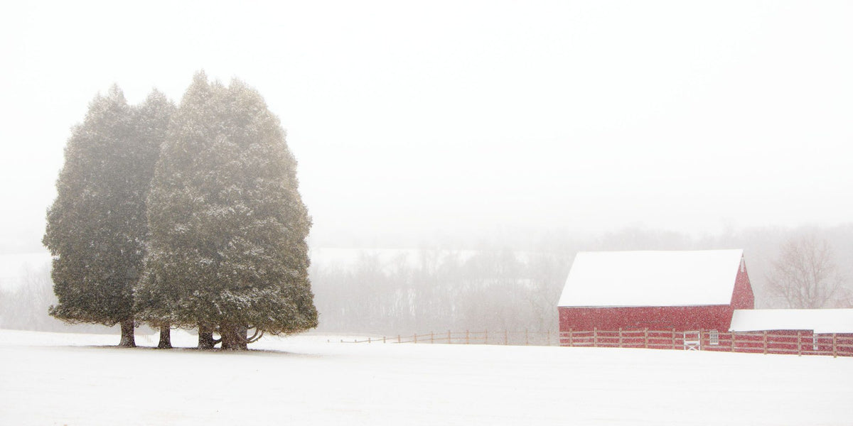 Winter Farm Mural Wallpaper - pure wallpaper artwork