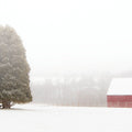 Winter Farm Mural Wallpaper - pure wallpaper artwork