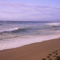 Crimson Stroll by the Shore Mural Wallpaper - pure wallpaper artwork