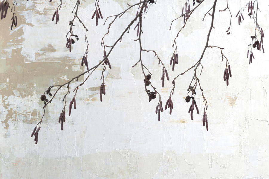 Catkins in Plaster I Mural Wallpaper