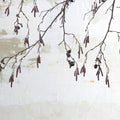 Catkins in Plaster I Mural Wallpaper - pure wallpaper artwork