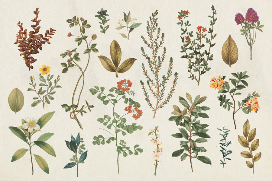 Victorian Garden Mural Wallpaper