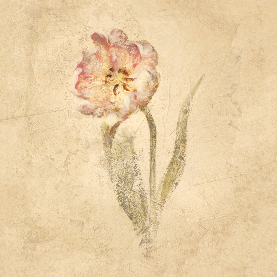 May Wonder Tulip Mural Wallpaper