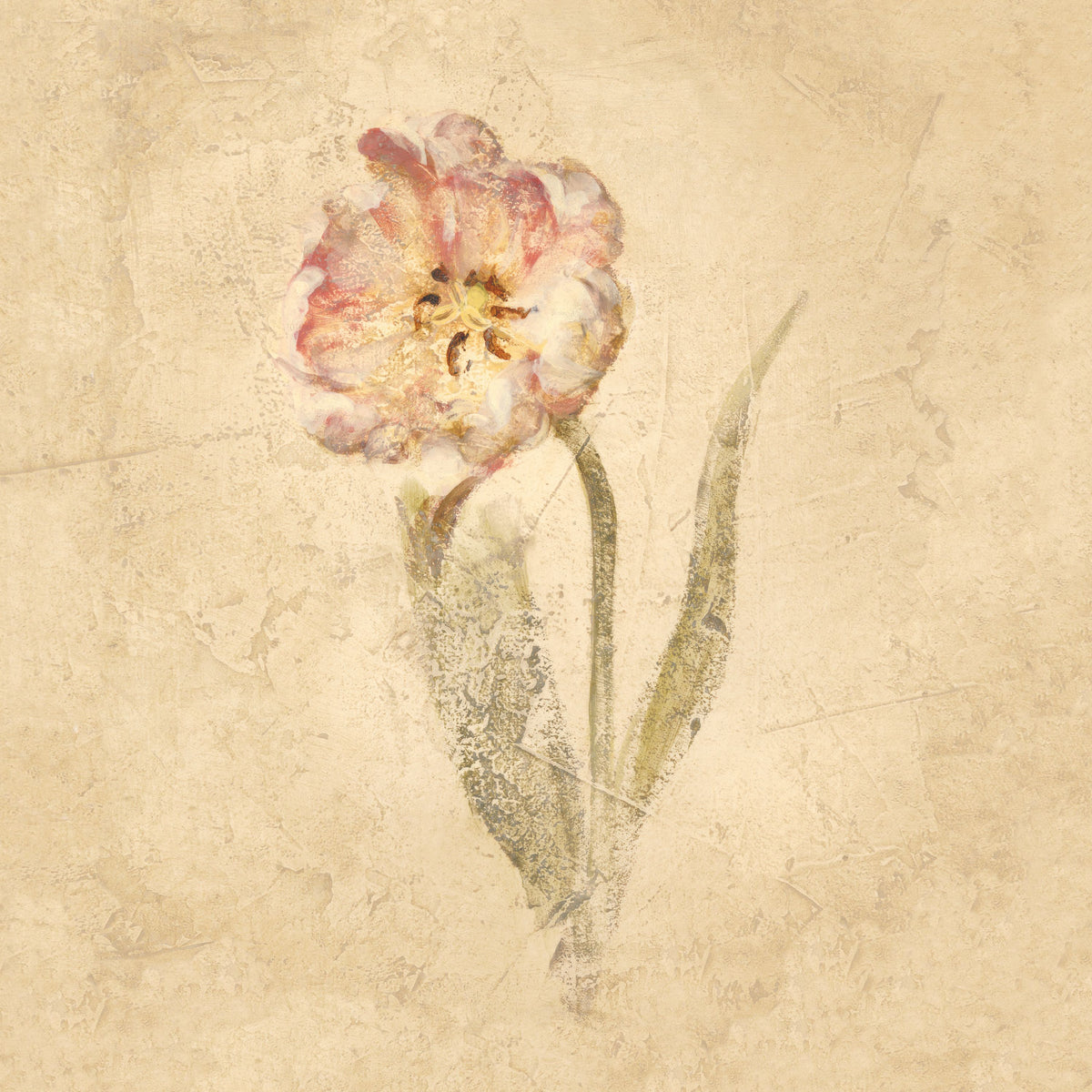 May Wonder Tulip Mural Wallpaper - pure wallpaper artwork