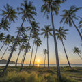 Golden Hour Palms Mural Wallpaper - Neutral Tone - pure wallpaper artwork