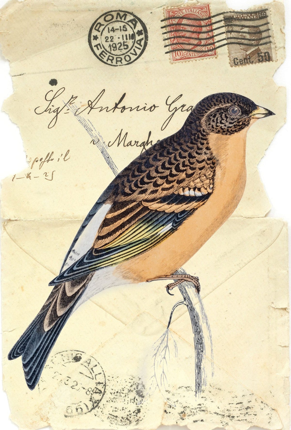 Mountain Finch Mural Wallpaper - pure wallpaper artwork