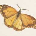 Honeybloom Butterfly III Mural Wallpaper - pure wallpaper artwork