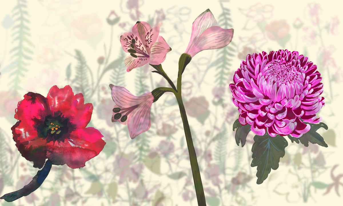 Poppy Float Mural Wallpaper - pure wallpaper artwork