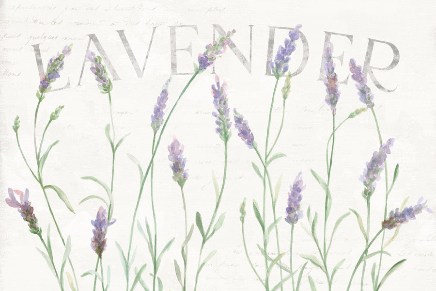 Lavender Fields I Mural Wallpaper - Light Tone