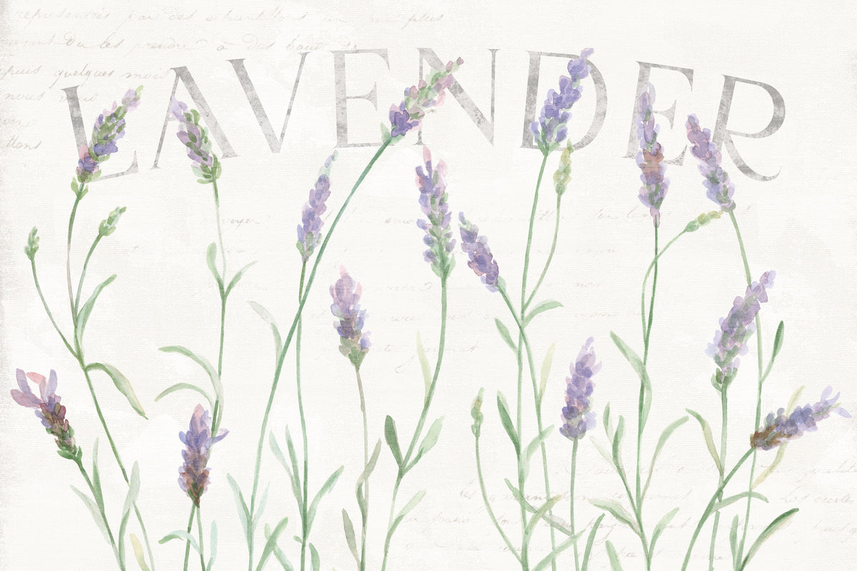 Lavender Fields I Mural Wallpaper - Light Tone - pure wallpaper artwork