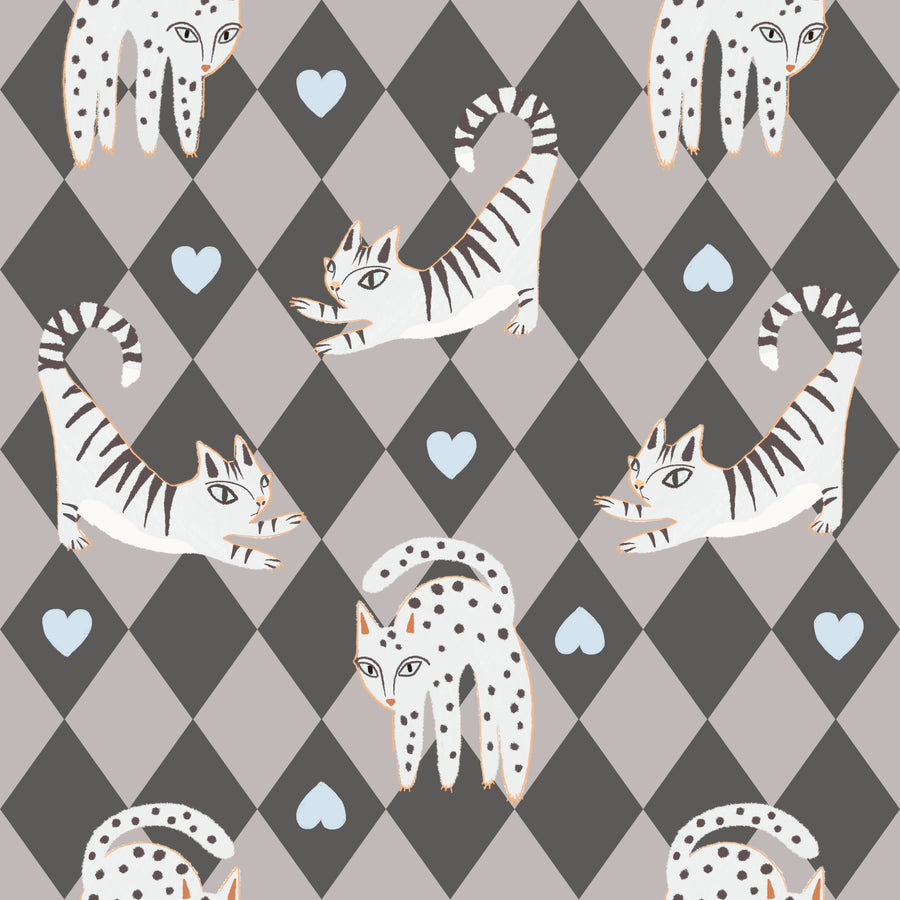 Harlequin Kittens, Shadow Mural Wallpaper