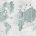 Old World Map Mint Gray Mural Wallpaper - pure wallpaper artwork