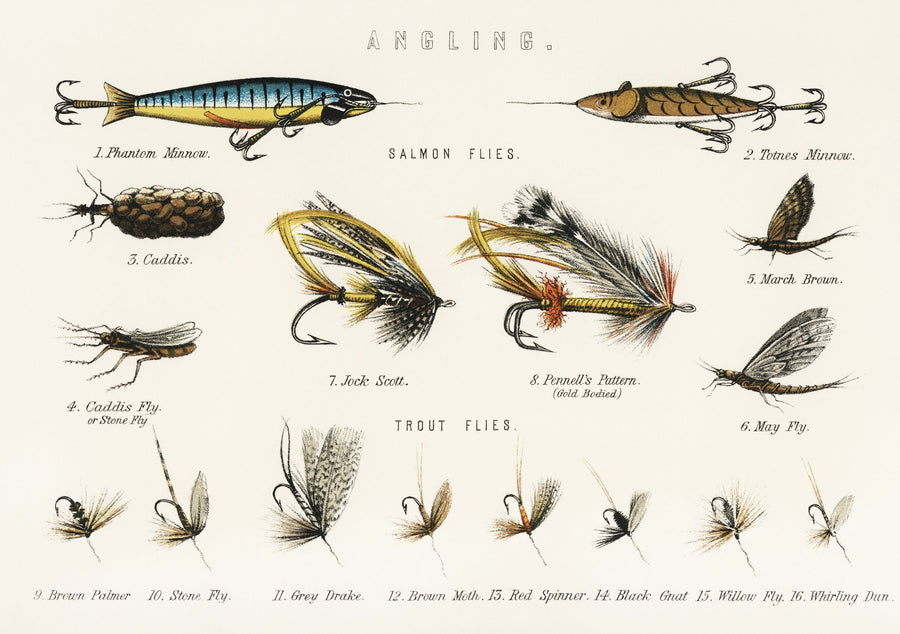 Angling Baits For Fresh Water Fishes Mural Wallpaper