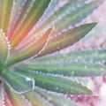 Dream Desert I Mural Wallpaper - pure wallpaper artwork