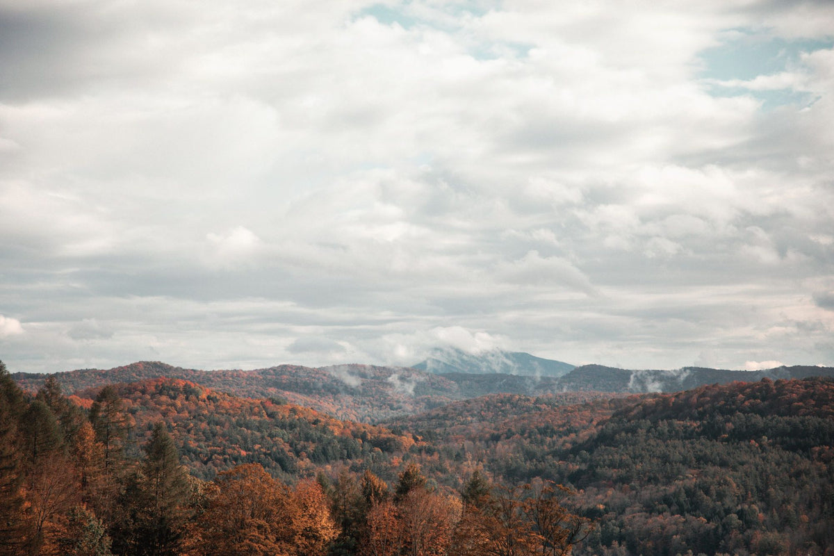 Autumn Hills Mural Wallpaper - pure wallpaper artwork