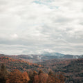 Autumn Hills Mural Wallpaper - pure wallpaper artwork