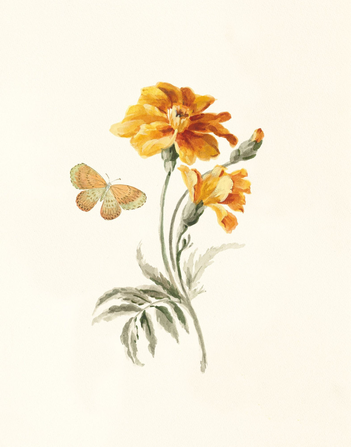 Autumn Marigold I Mural Wallpaper - pure wallpaper artwork