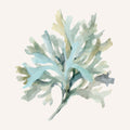Coastal Bliss I Mural Wallpaper - pure wallpaper artwork