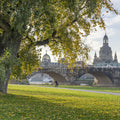 Golden Tree Bridge Mural Wallpaper - pure wallpaper artwork