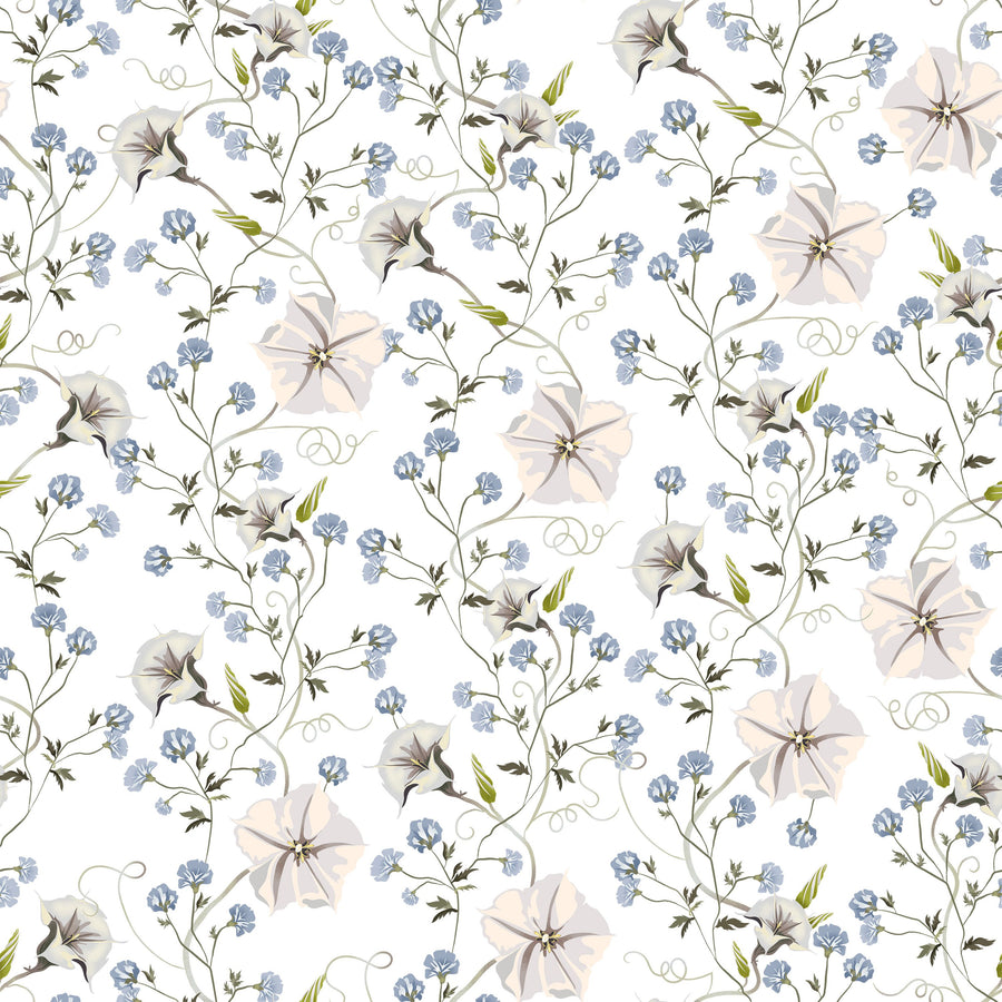 Trailing Morning Glory, White Mural Wallpaper