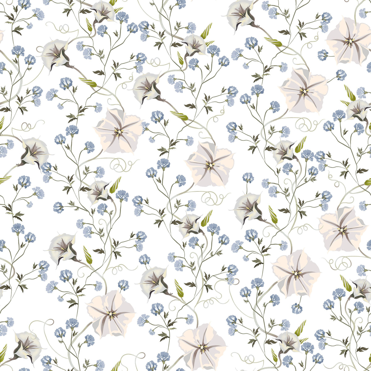 Trailing Morning Glory, White Mural Wallpaper - pure wallpaper artwork